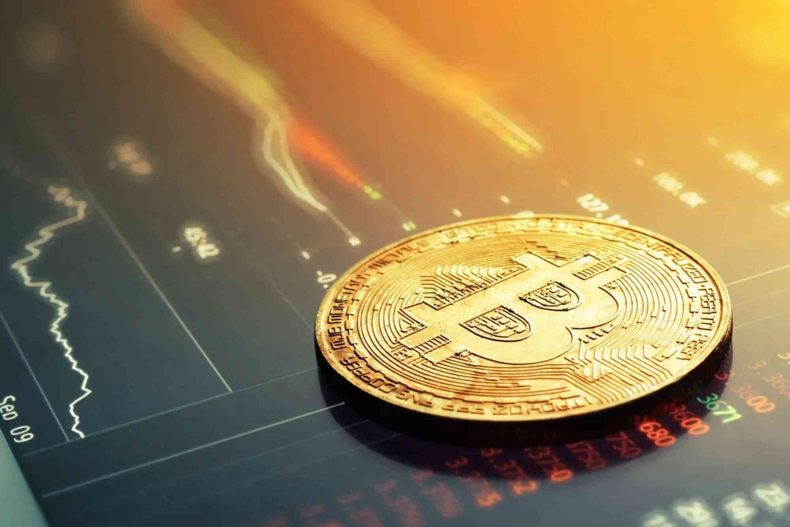 أفضل منصات تداول الفوركس تدعم الدول العربية